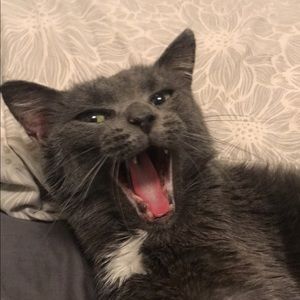 Meet your Posher, Meagan